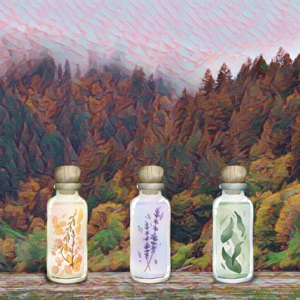 The Essential Guide to our Essential Oils