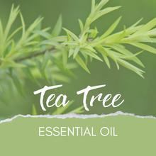 Load image into Gallery viewer, Tea Tree 🍵 Essential Oil💧
