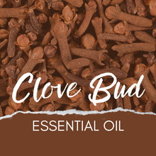 Load image into Gallery viewer, Clove Bud 🦔 Essential Oil 💧

