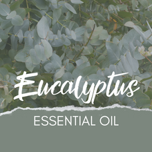 Load image into Gallery viewer, Eucalyptus 🐨 Essential Oil 💧
