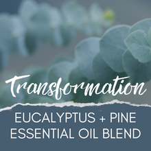 Load image into Gallery viewer, &quot;Transformation&quot; 🌿 Eucalyptus + Pine 🌲 Essential Oil💧
